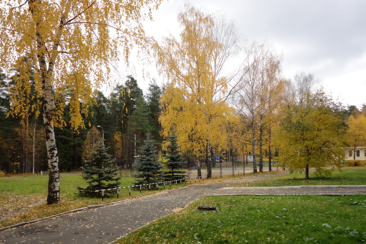 В осеннем парке. - Валентина Удачина