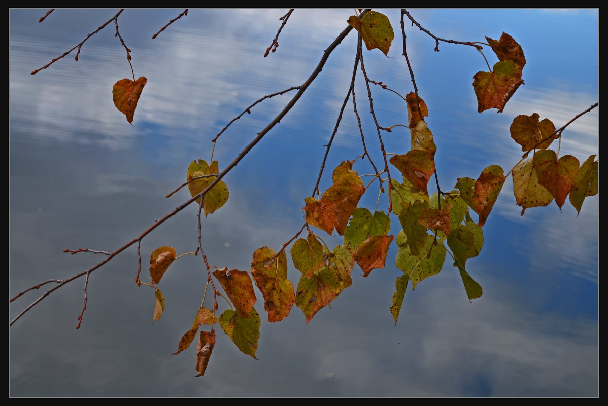 Autumn sadness of nature - Tatiana Kretova