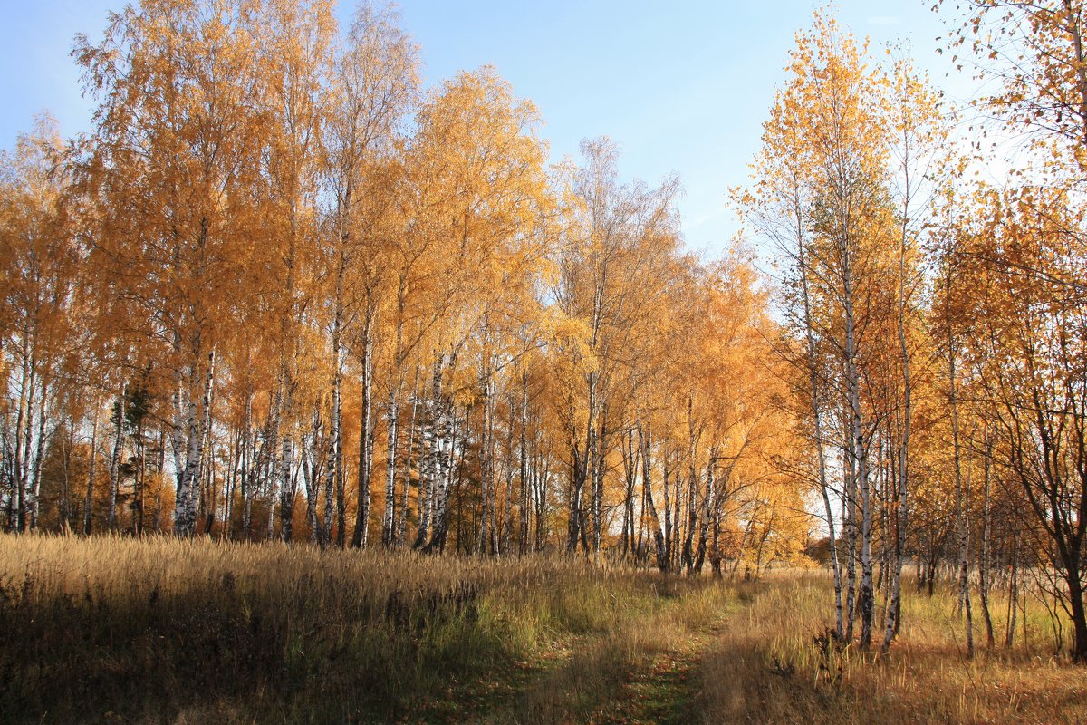 Осень, Воткино - Владимир Холодницкий