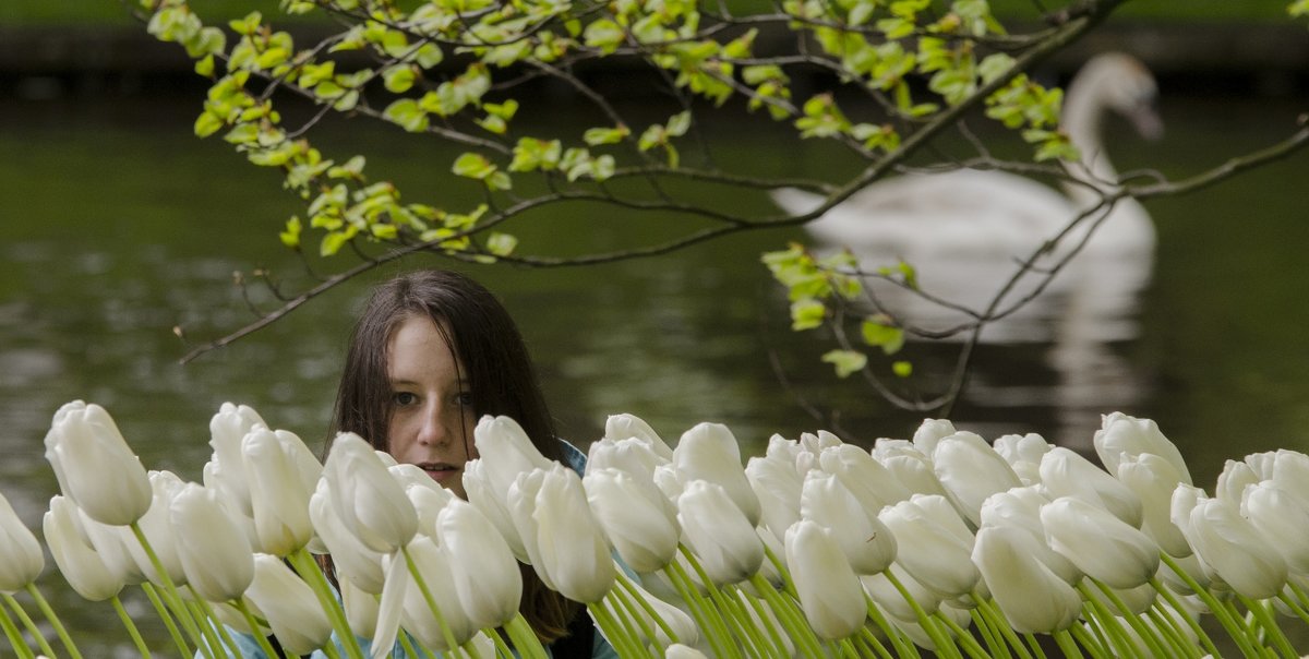 among the flowers - Dmitry Ozersky