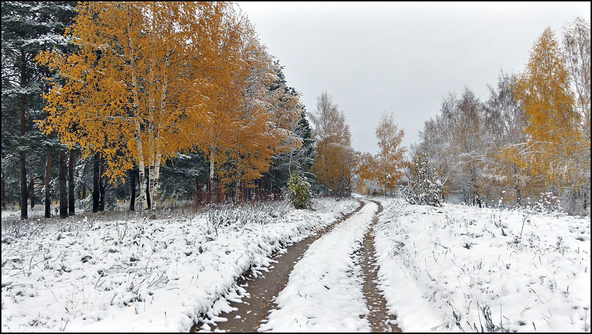 Между осенью и зимой - Николай Белавин