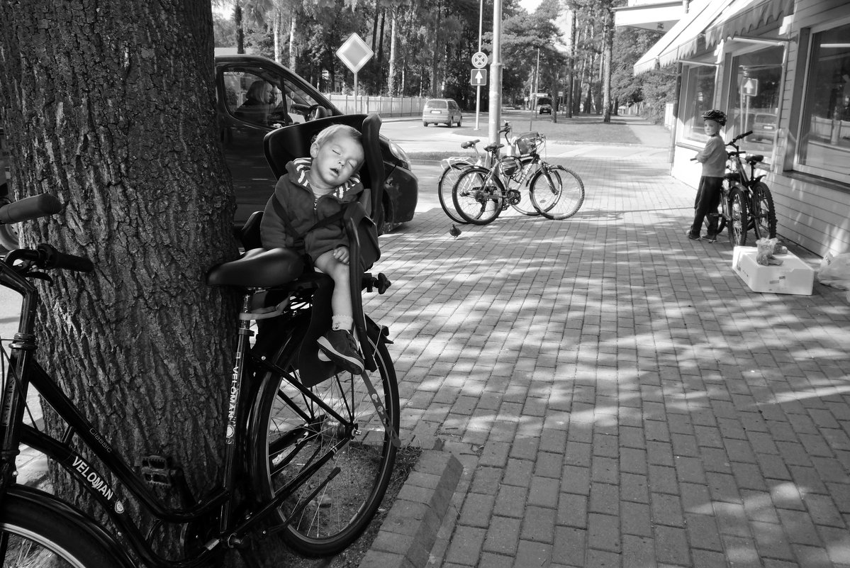 Василий Чекорин - Сладкий сон велосипедиста - Фотоконкурс Epson