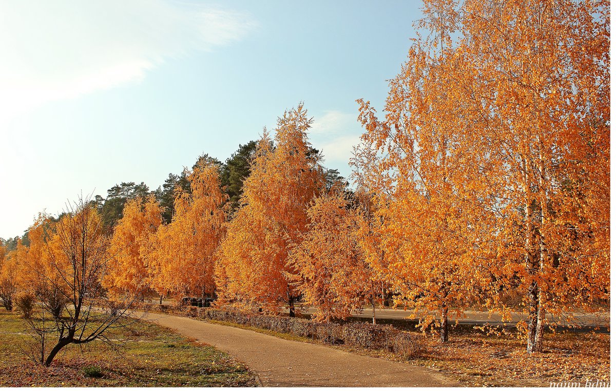 Осень золотая - Лидия (naum.lidiya)
