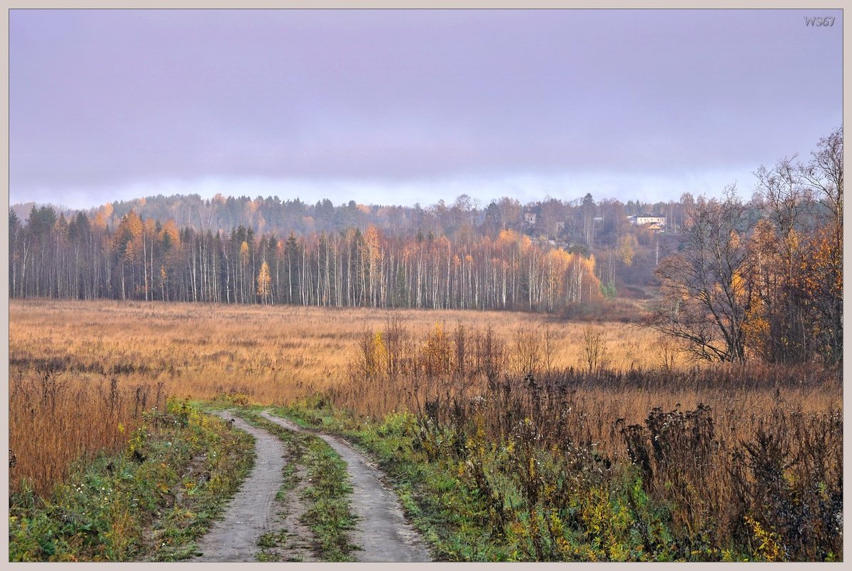 Осень в полях. - Vadim WadimS67