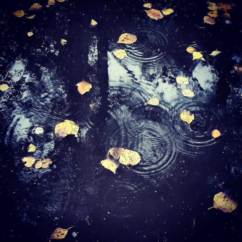 Осенний дождь - Настасья Слюсарева