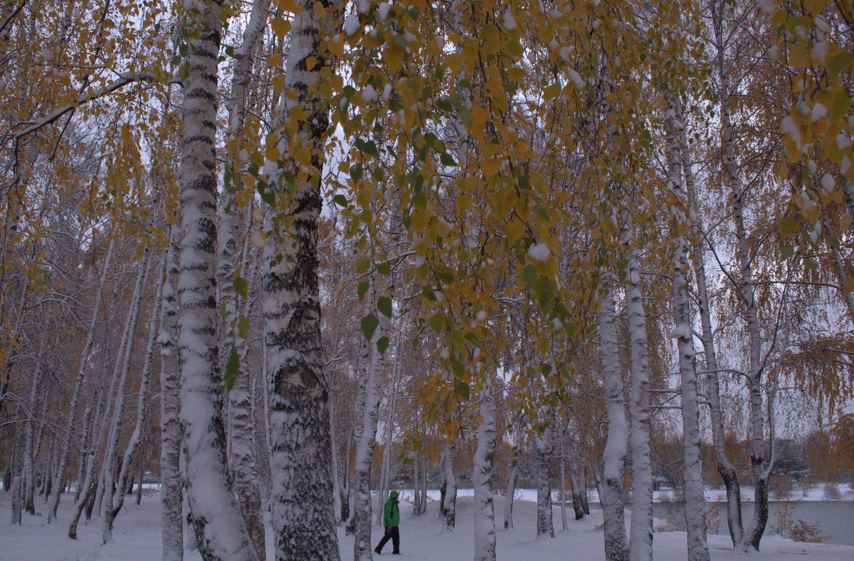 Снег октября - Татьяна Ломтева