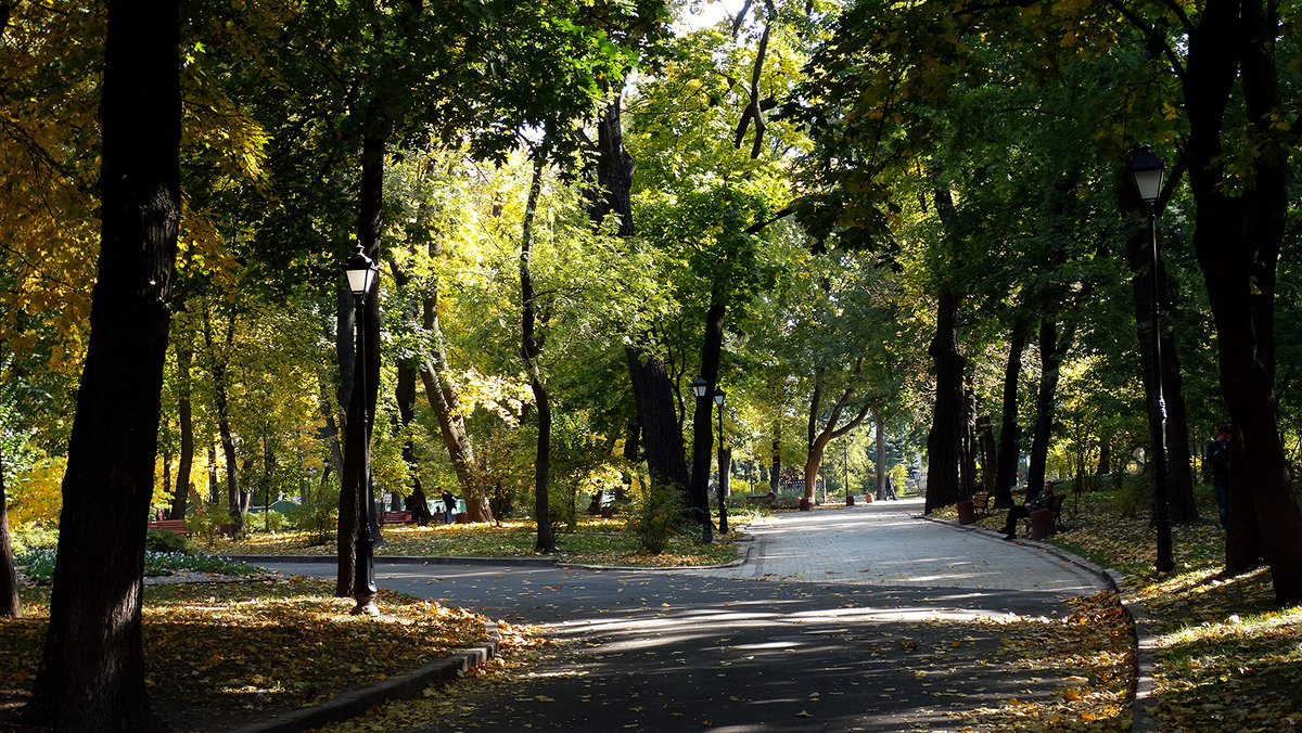 Киев.Осень 2014 г. Фото №15 - Владимир Бровко