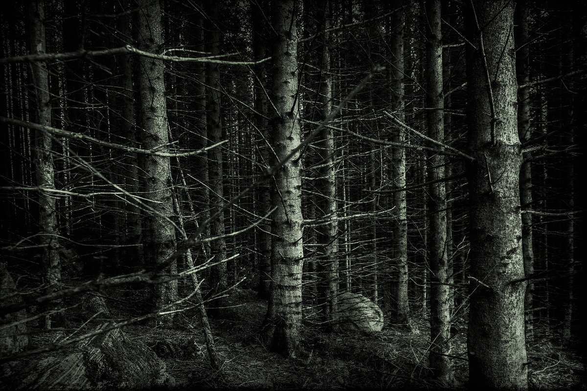 Темный лес(Норвежский)) - Николай 