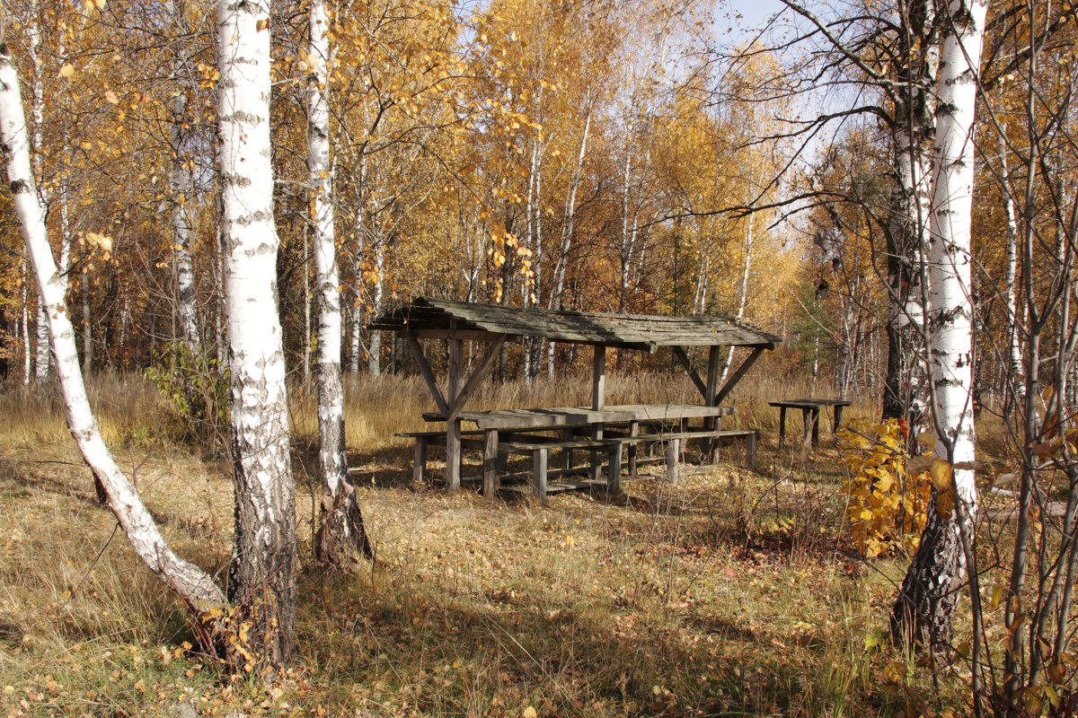 Осень - Владимир Холодницкий