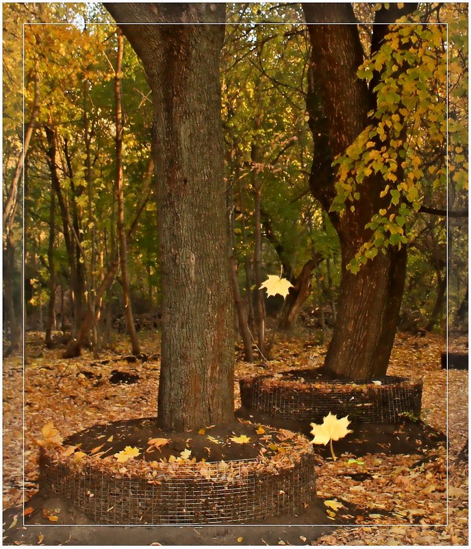 .. и падают листья.... - Александр Герасенков