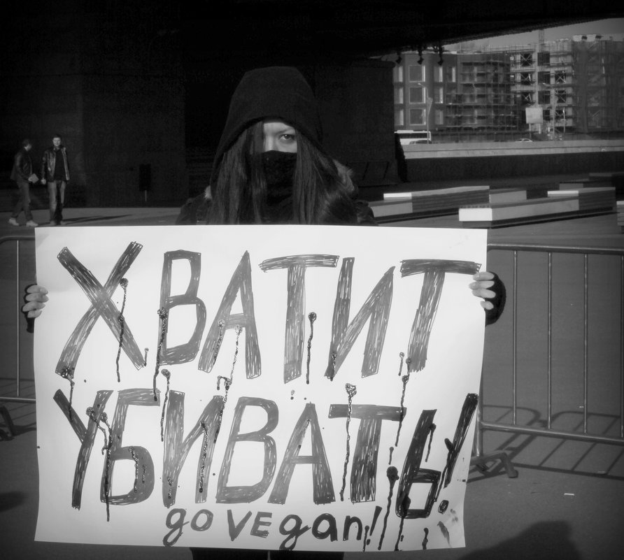 ...хватит убивать.. - Влада Ветрова