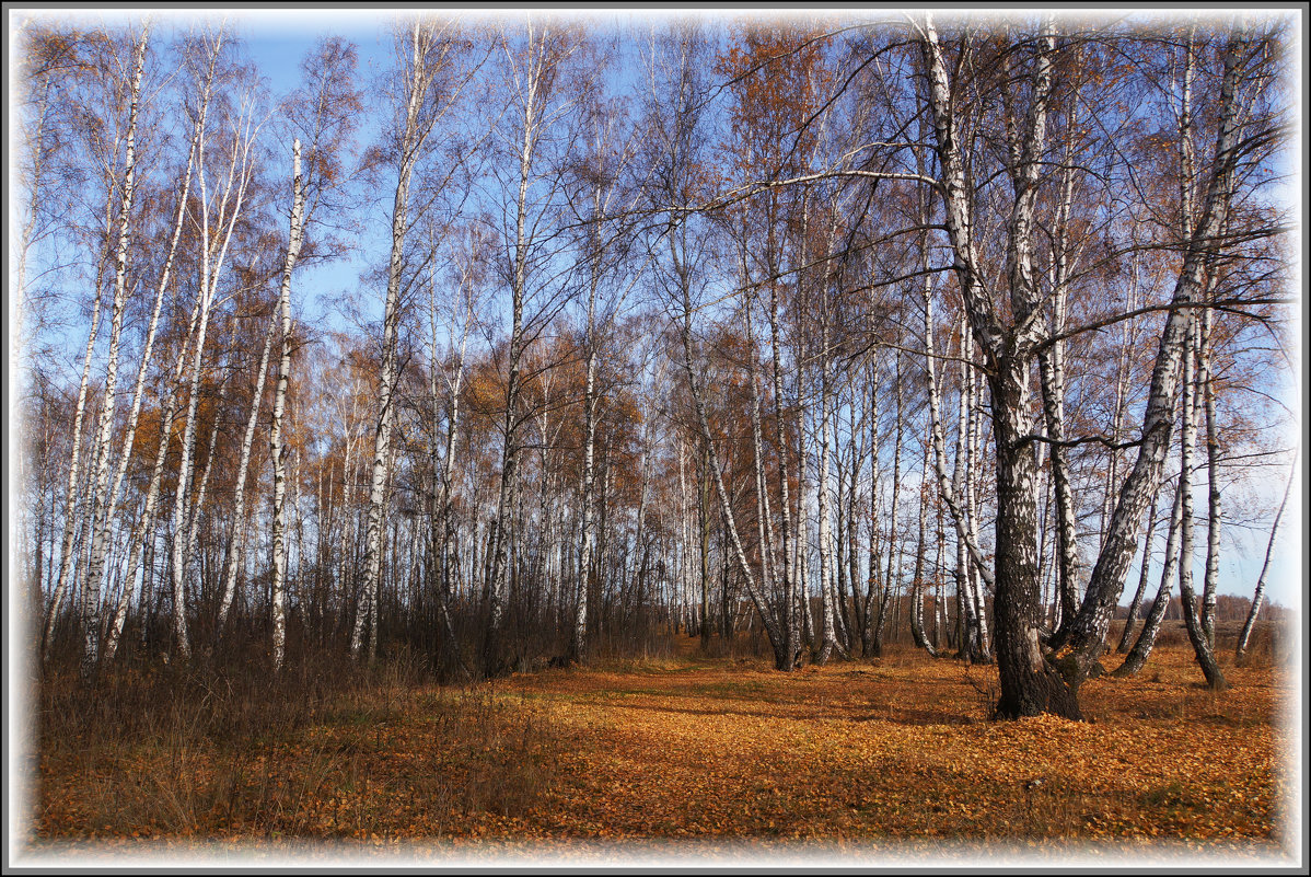 Осенний пейзаж - marmorozov Морозова