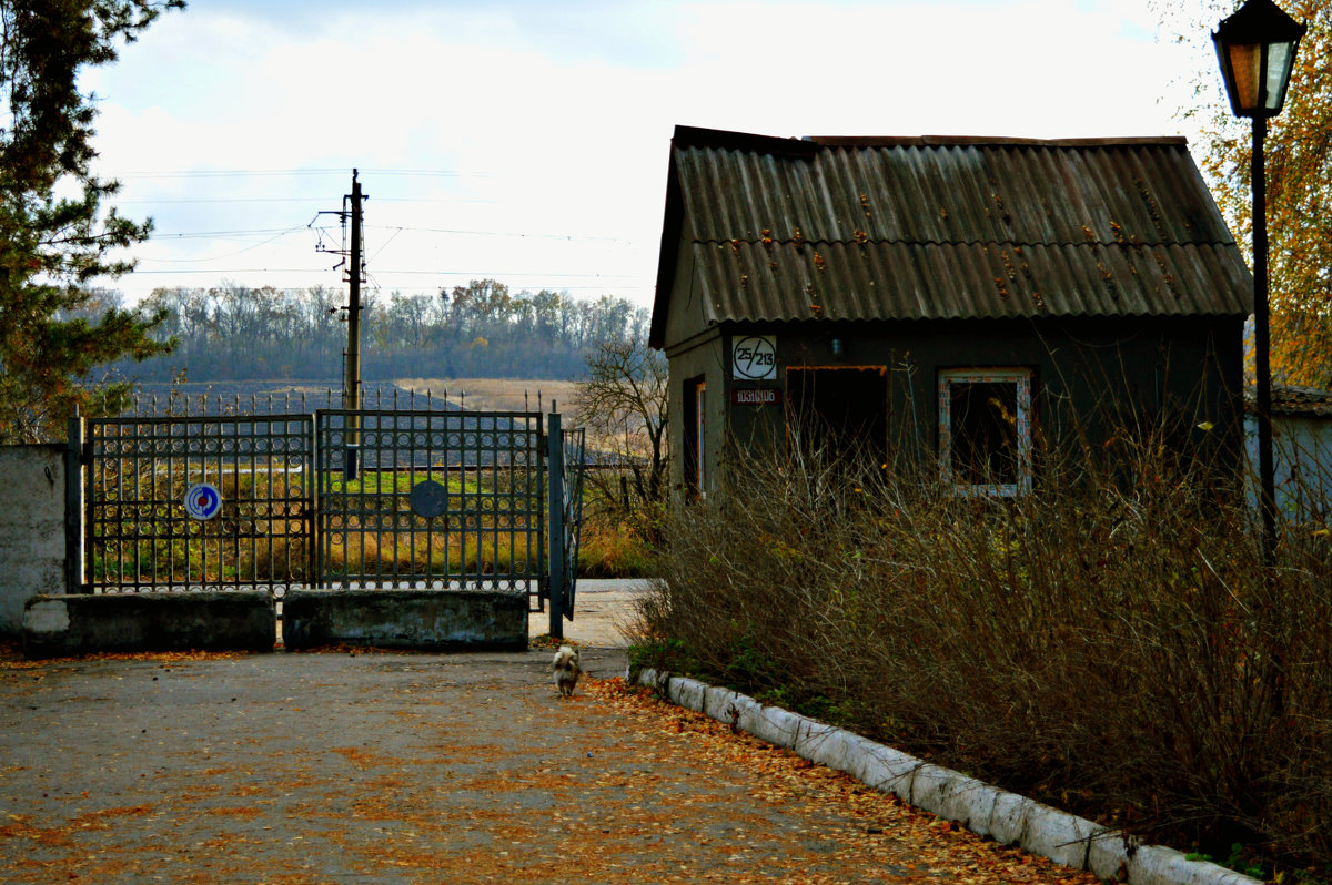 КПП - Виктория Войтович