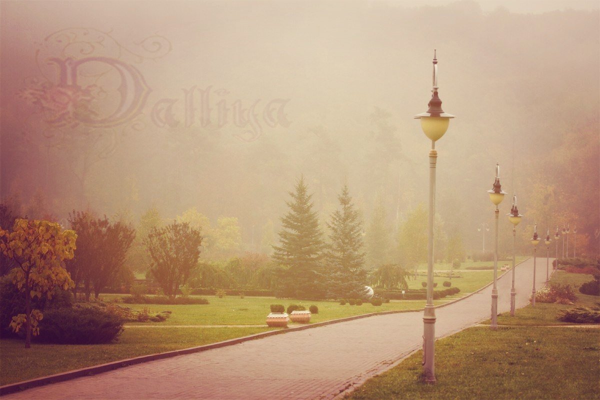 "Уходящая в туман...". Краски осени. - Dalliya Elle