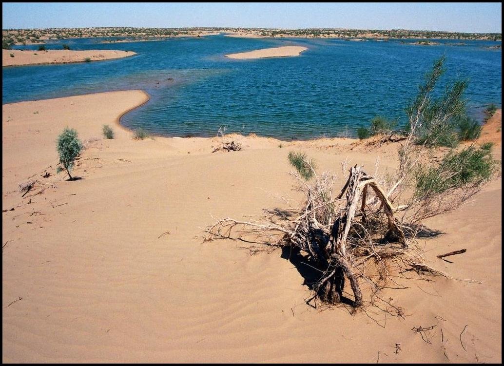 Пришла вода!!! - Ахмед Овезмухаммедов