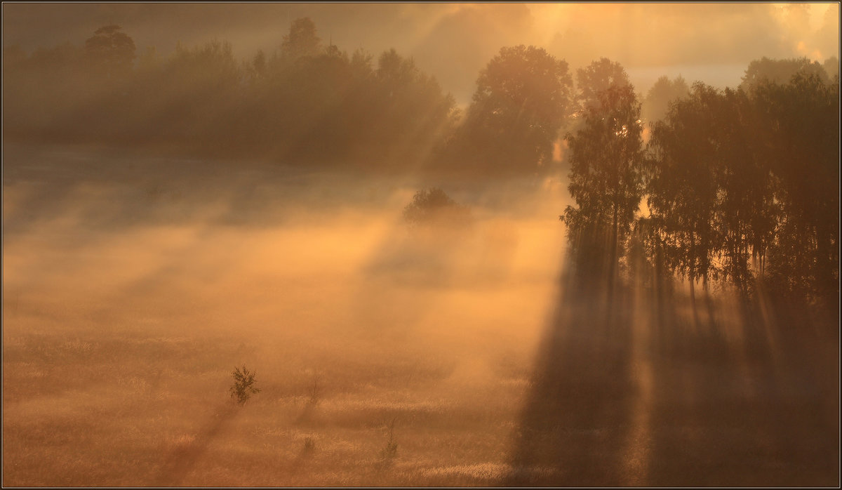 В тумане золотом - Надежда Лаврова