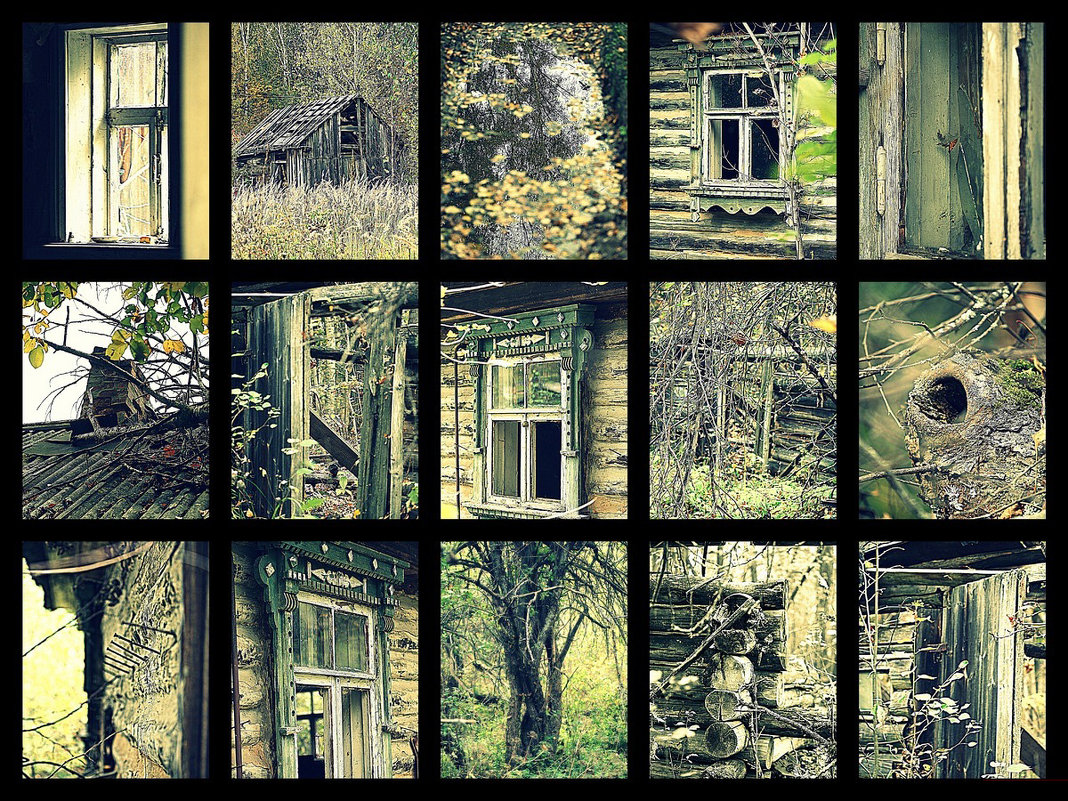 Заброшенный дом в глухом лесу - Юрий Савинский