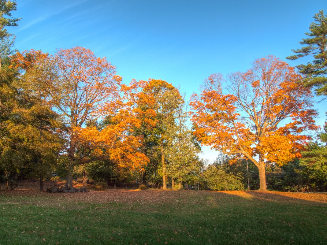 Осень в Yonkers, NY - Vadim Raskin