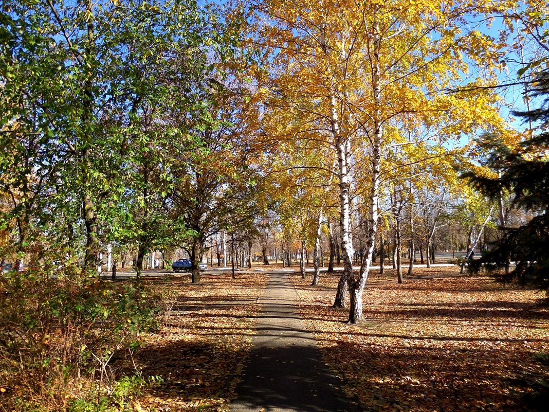 Осенний пейзаж... - Сергей Петров