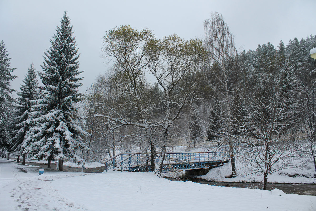 Первый снег 4 - Надежда Егорова