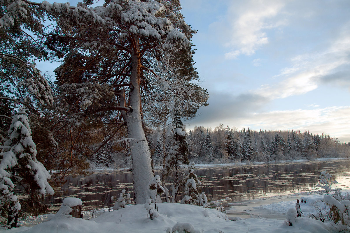 Уральский лес зимой