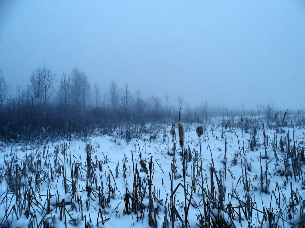Мороз, туман, болото... - Yury Kuzmič