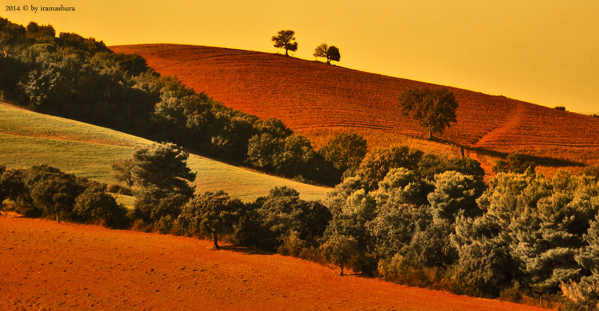 PROV. DI GROSSETO , TOSCANA, 31-10-2014 - ira mashura