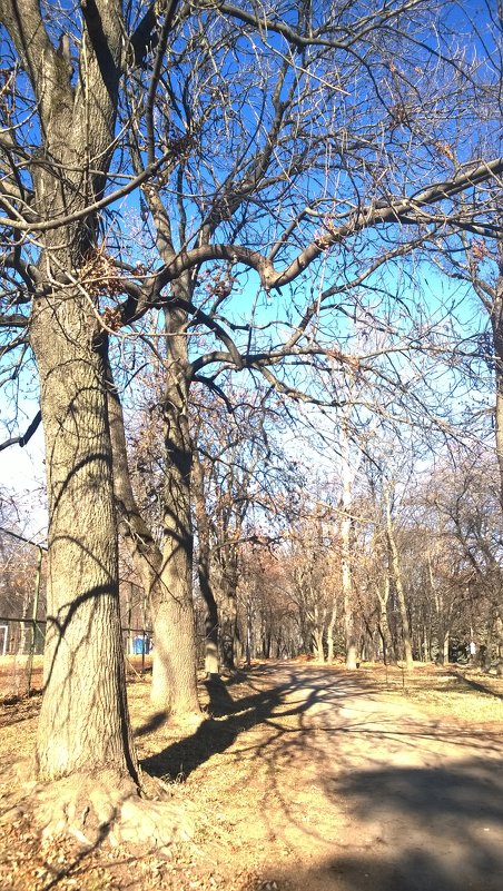 Парк в октябре - Юлия Ненахова