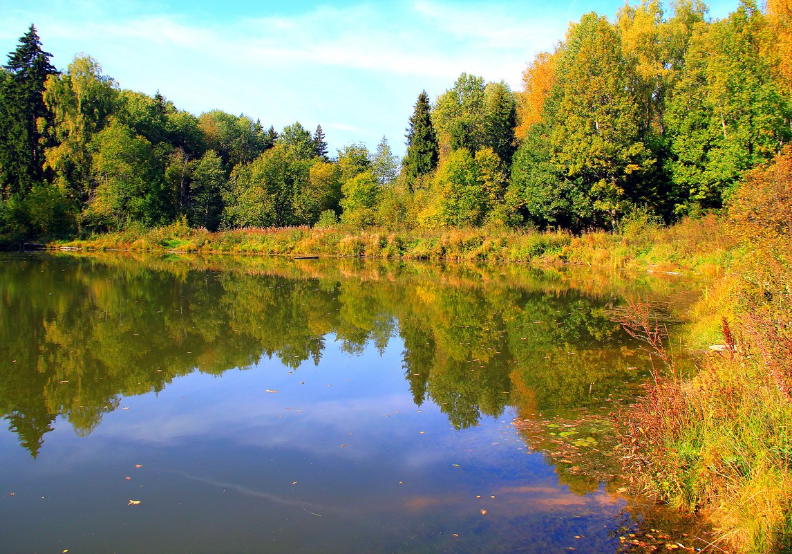 Осенний пруд - Тамара 