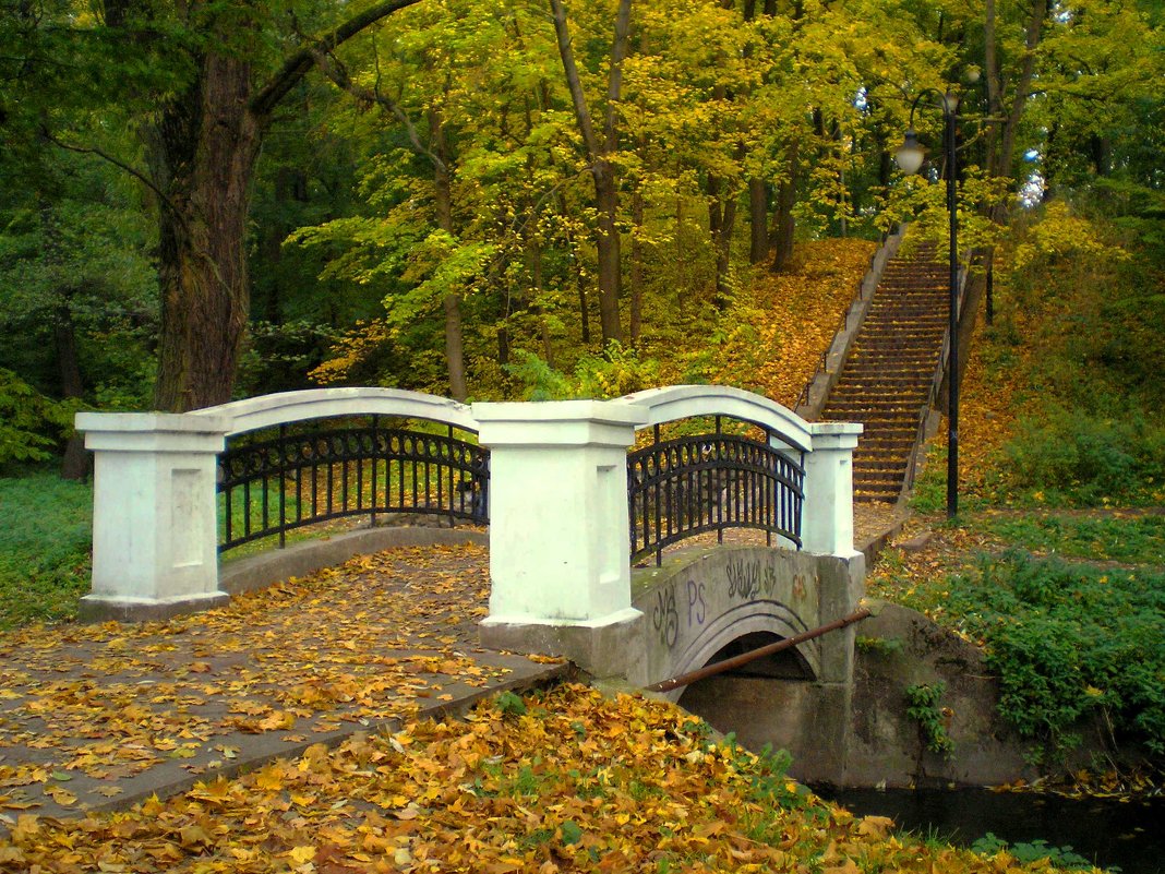 Осенний парк - Сергей Карачин