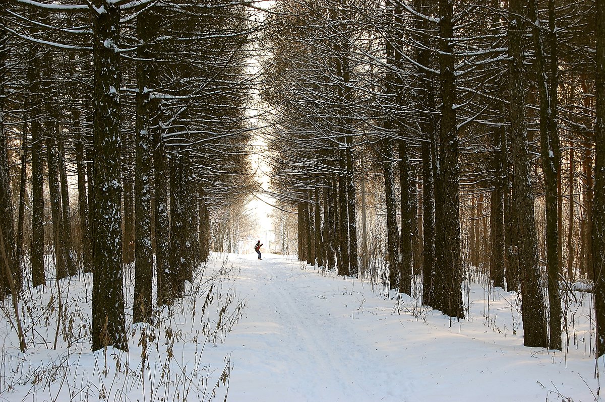 Пейзаж с лыжником - Александр Буянов