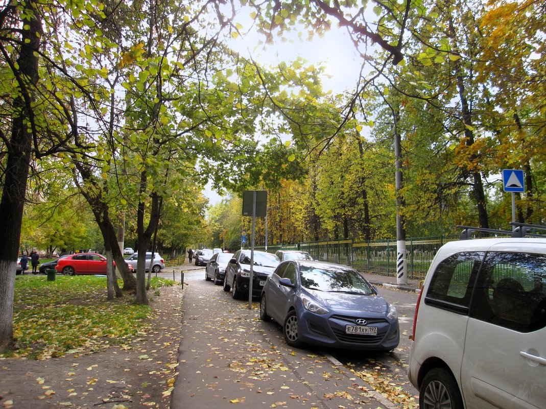 Типичный тротуар московской улицы - Елена Palenavi
