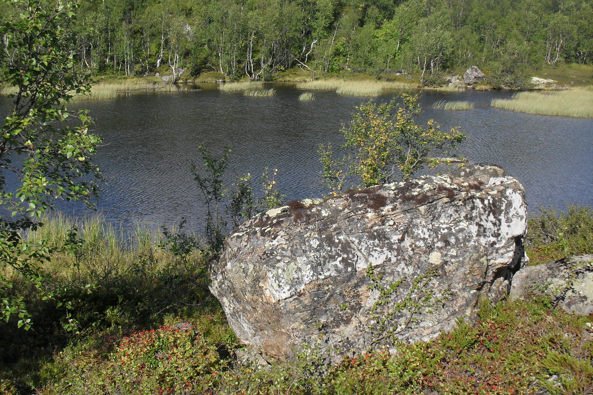 Озеро с камнем - Святец Вячеслав 