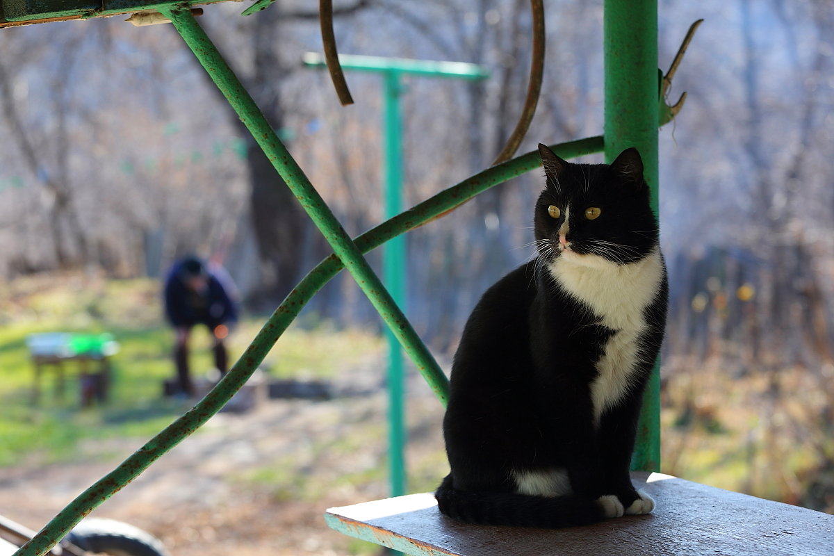 Осенний этюд - Александр Коряковцев