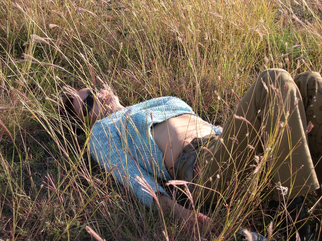 девушка в траве отдыхает - Сергей Дихтенко