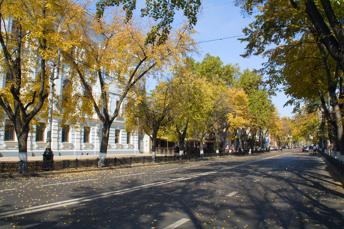 Центральная улица моего города. Октябрь - Алёна Чалова