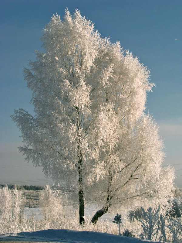 Зима - Ольга Маркова