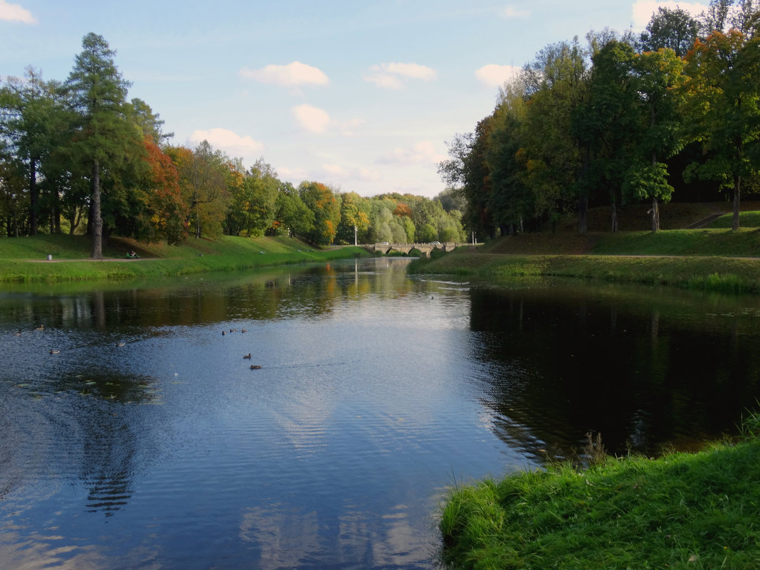 Гатчинский парк - Людмила Романова