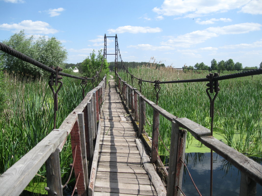 Мост - moskalenko 