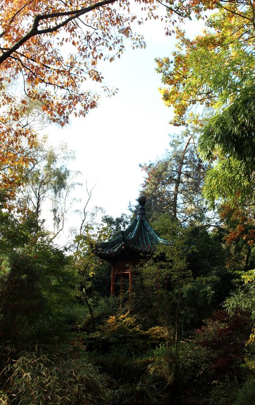 Pagoda - Zlata Charskaya