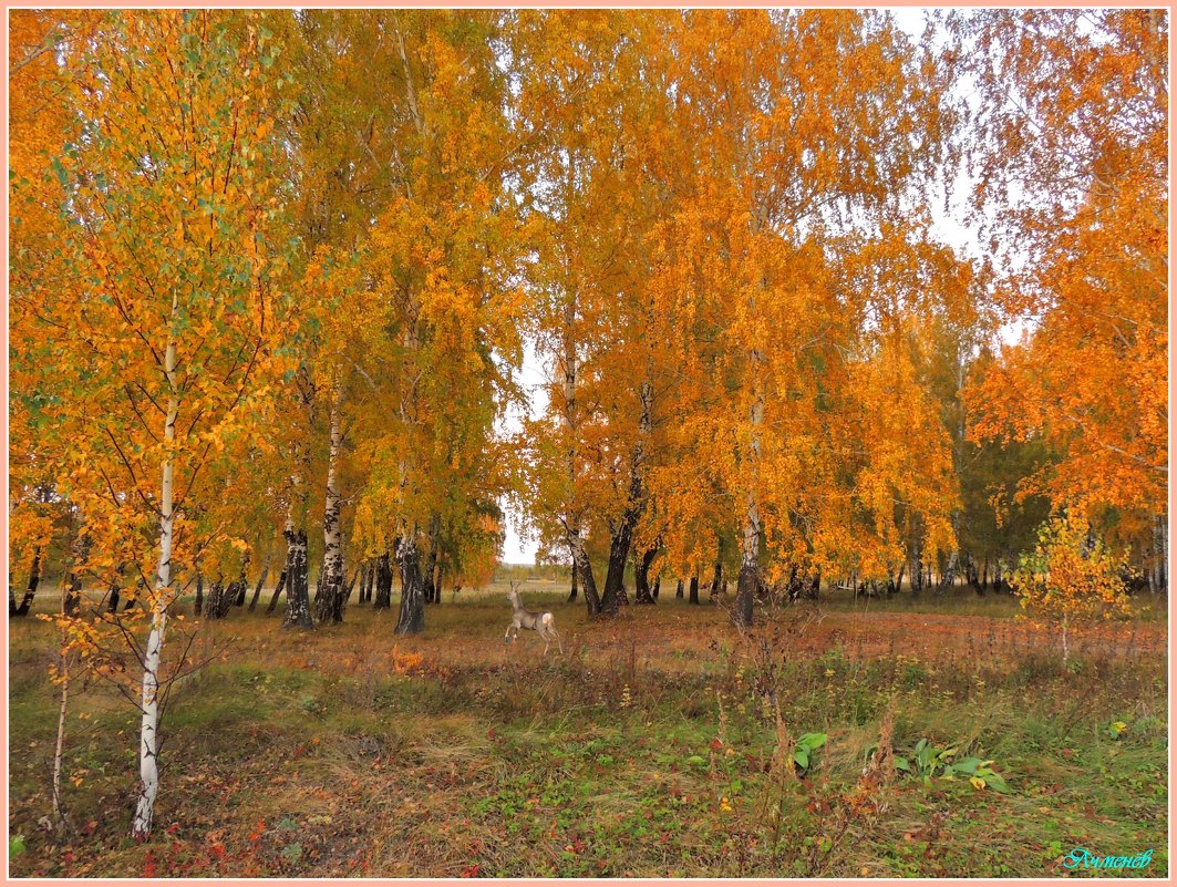 Золотая осень - Геннадий Ячменев