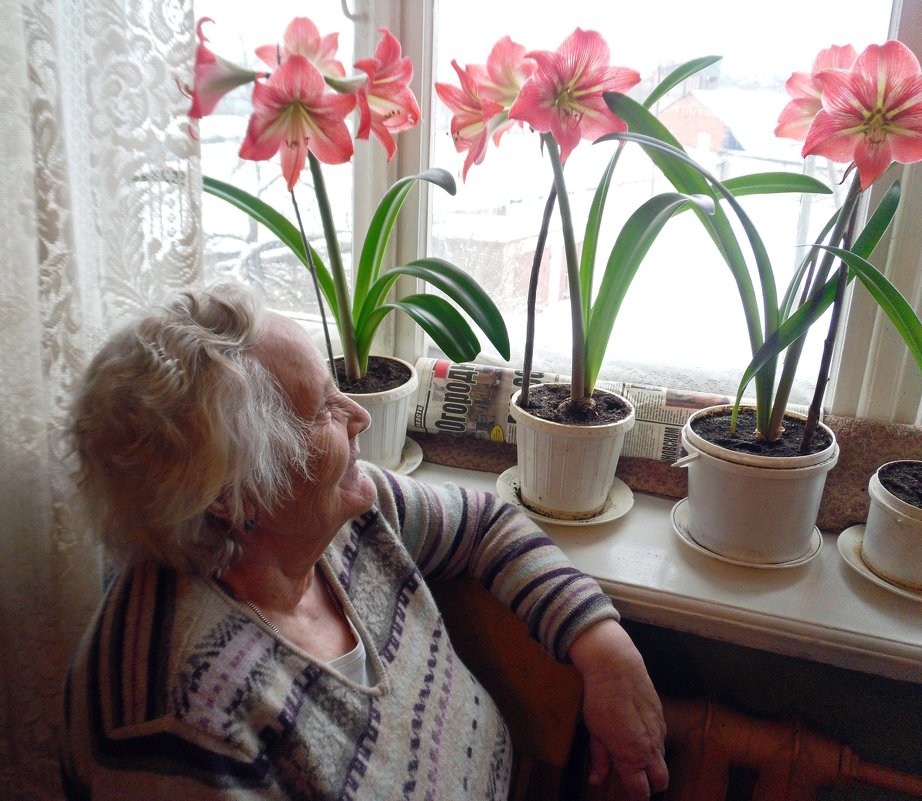 Бабушкины цветы. - zoja 