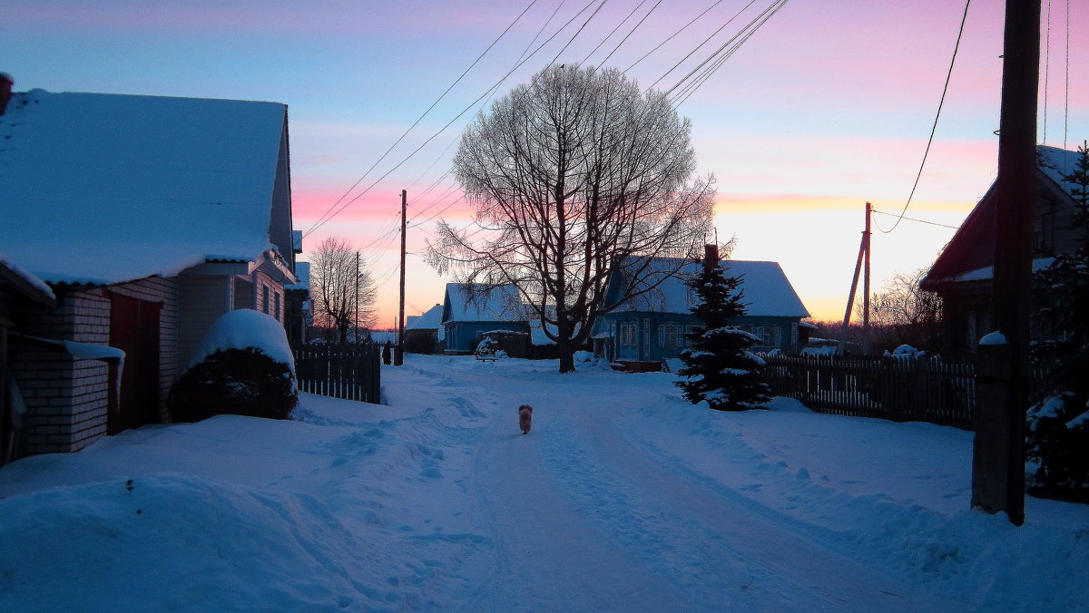 Зимнее утро в деревне - Татьяна Ломтева