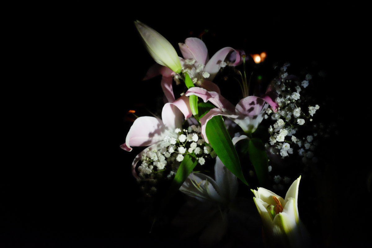 Ночные цветы - Петр Мерзляков