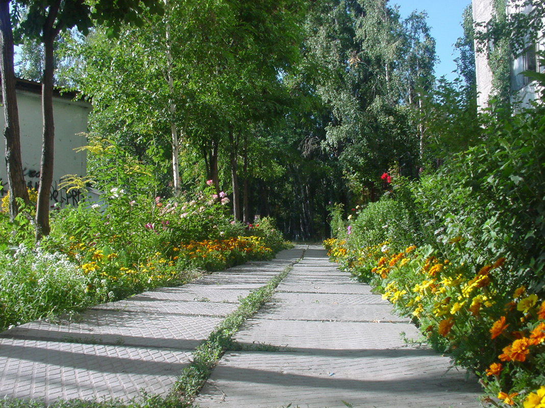 тропа - Ольга Савич