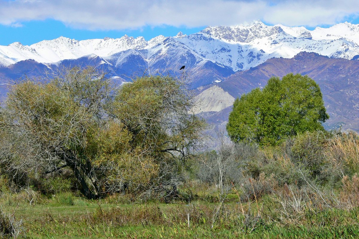 Kyrgyzstan - Schbrukunow Gennadi