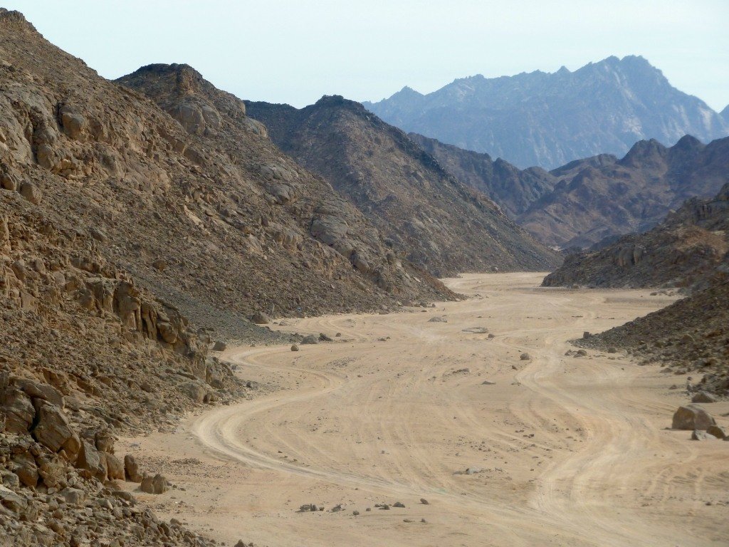 Пейзаж Аравийской пустыни - Чария Зоя 
