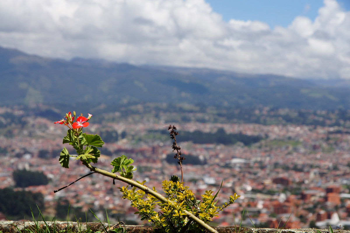 Cuenca - Igor Khmelev