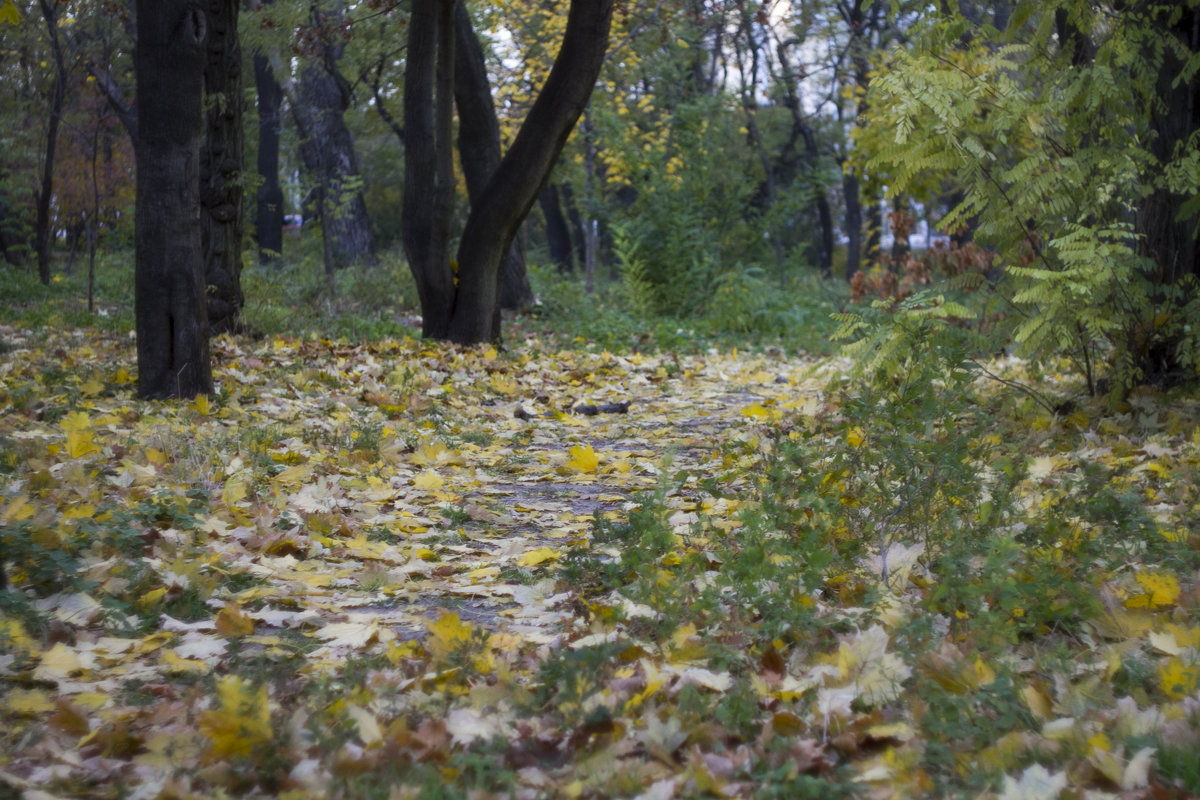 Осень - Николай Сухоруков