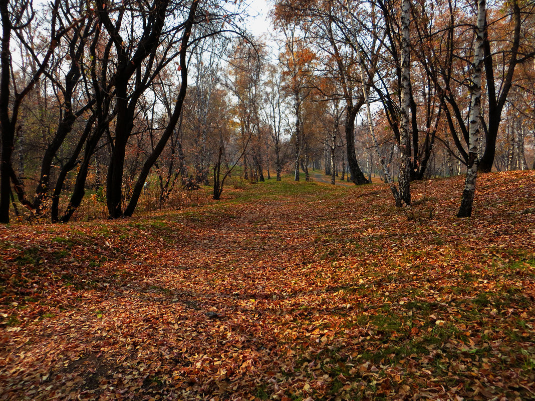 парк пк - sinichkani Ptichka